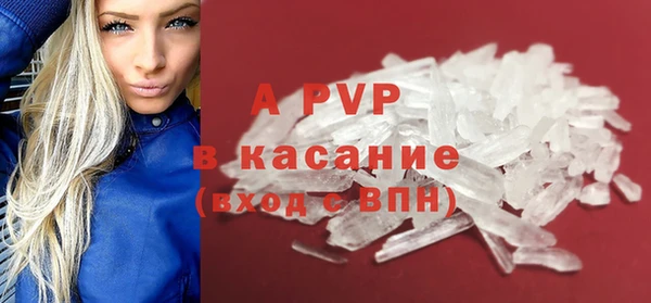 молекула духа Бородино