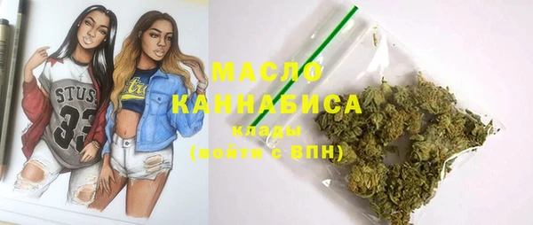 молекула духа Бородино