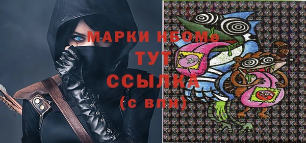молекула духа Бородино