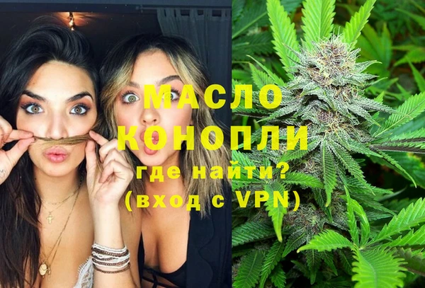 молекула духа Бородино