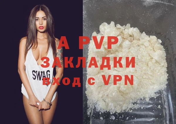 молекула духа Бородино