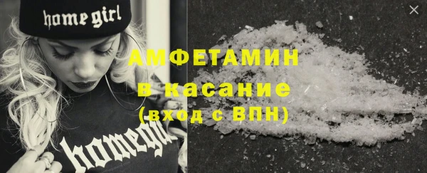 молекула духа Бородино
