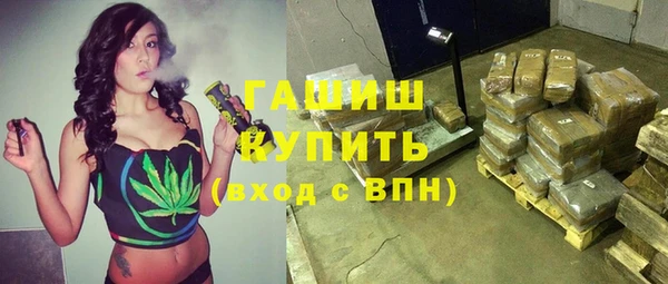 молекула духа Бородино